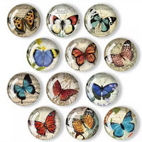 Butterfly Glass Fridge Magnets – Artistic Decorative Set for Kitchen or Locker (12pcs)